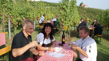 Weinbergfest